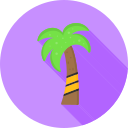 palmera icon