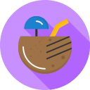 bebida de coco icon