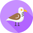 gaviota icon