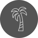 palmera icon