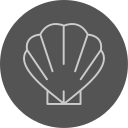 concha icon