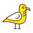 Seagull icon