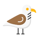 gaviota icon