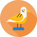 gaviota icon