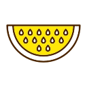 Watermelon icon