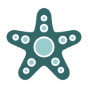 estrella de mar icon