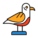 갈매기 icon