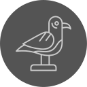 gaviota icon