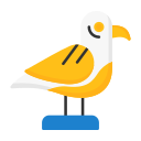 gaviota icon