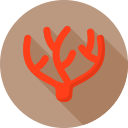 coral icon