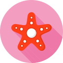 estrella de mar icon