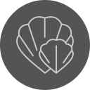 concha icon