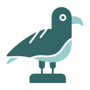 gaviota icon