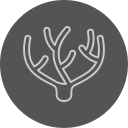 coral icon