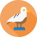 gaviota icon