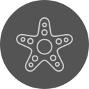 estrella de mar icon