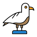 gaivota 