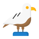 gaviota icon