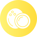 coco icon