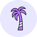 palmera icon