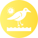 maçarico 