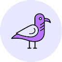 gaviota icon