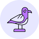 gaviota icon