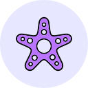 estrella de mar icon