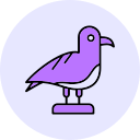 gaviota icon