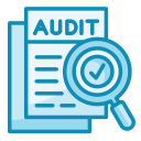 auditoría icon