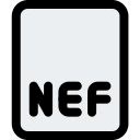 Nef 