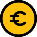 Euro icon