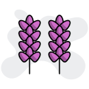 lavanda icon