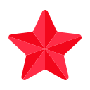 estrella de navidad icon