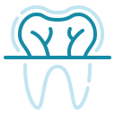 radiografía dental icon