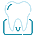 molar icon