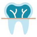 radiografía dental icon