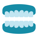 dentadura postiza icon