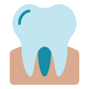 molar icon