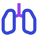 Легкие 
