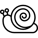 caracol 