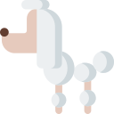 Caniche icon