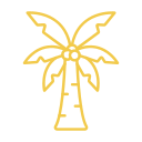 palmera icon