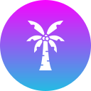 palmera 