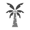 palmera icon