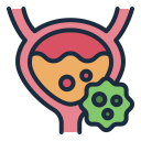 cáncer de próstata icon