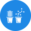 plantas icon