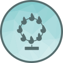 aro de fuego icon