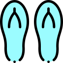 Chanclas icon