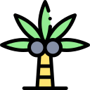 Palmera icon